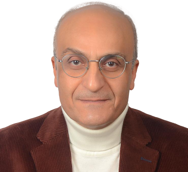 Prof. Mostafa Seleem