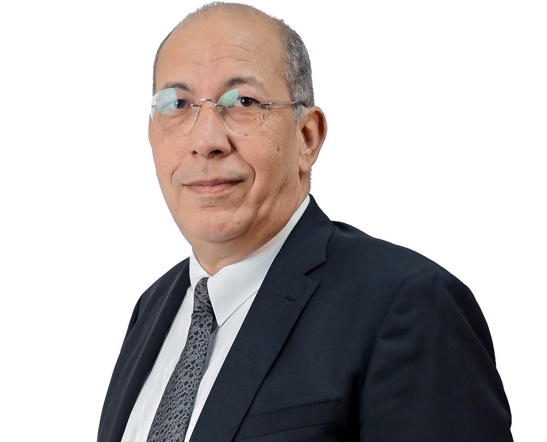 Prof. Wael El Shaer